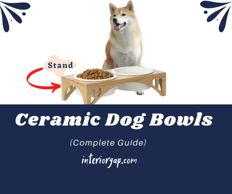 Ceramic Dog Bowls With Stand For Large Dogs (Complete Guide)