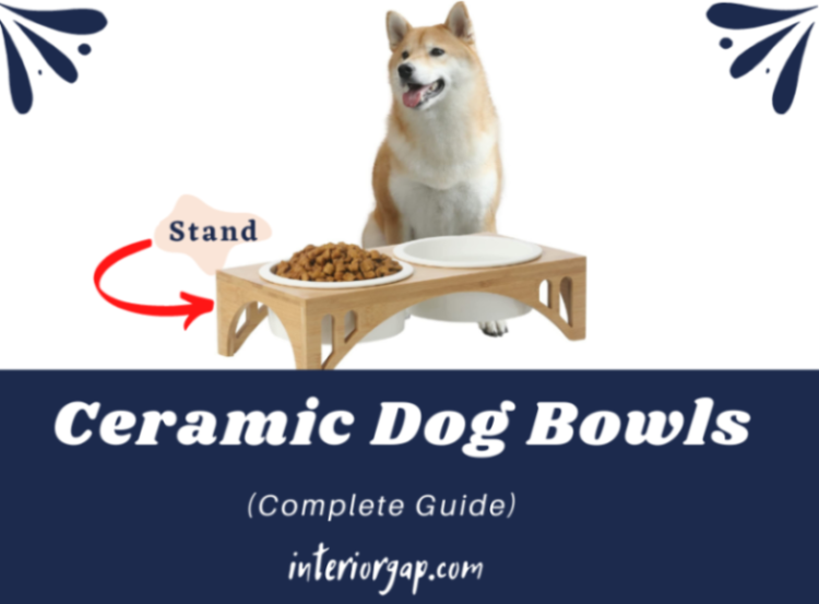 Ceramic Dog Bowls With Stand For Large Dogs