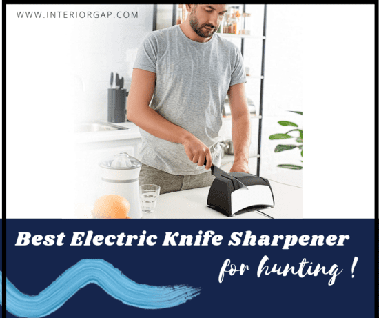 Best electric knife sharpener for hunting knives (Complete Guide)