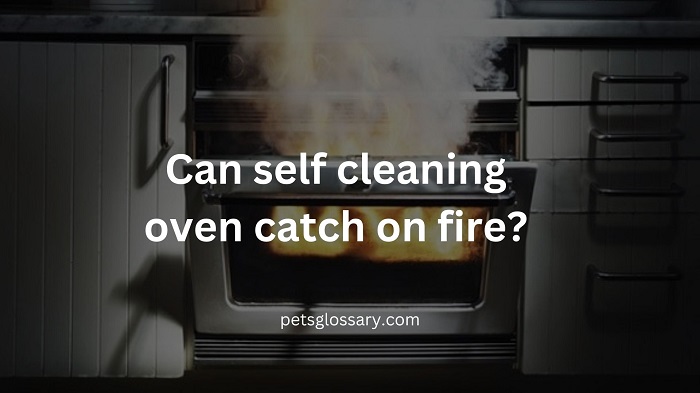 Can self cleaning oven catch on fire?