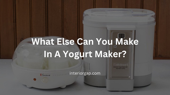 What Else Can You Make In A Yogurt Maker?